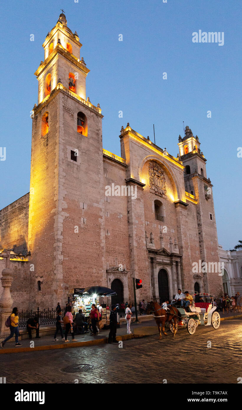 Merida cattedrale o Duomo di Merida illuminate al tramonto, la città di Merida Yucatan Messico America Latina Foto Stock