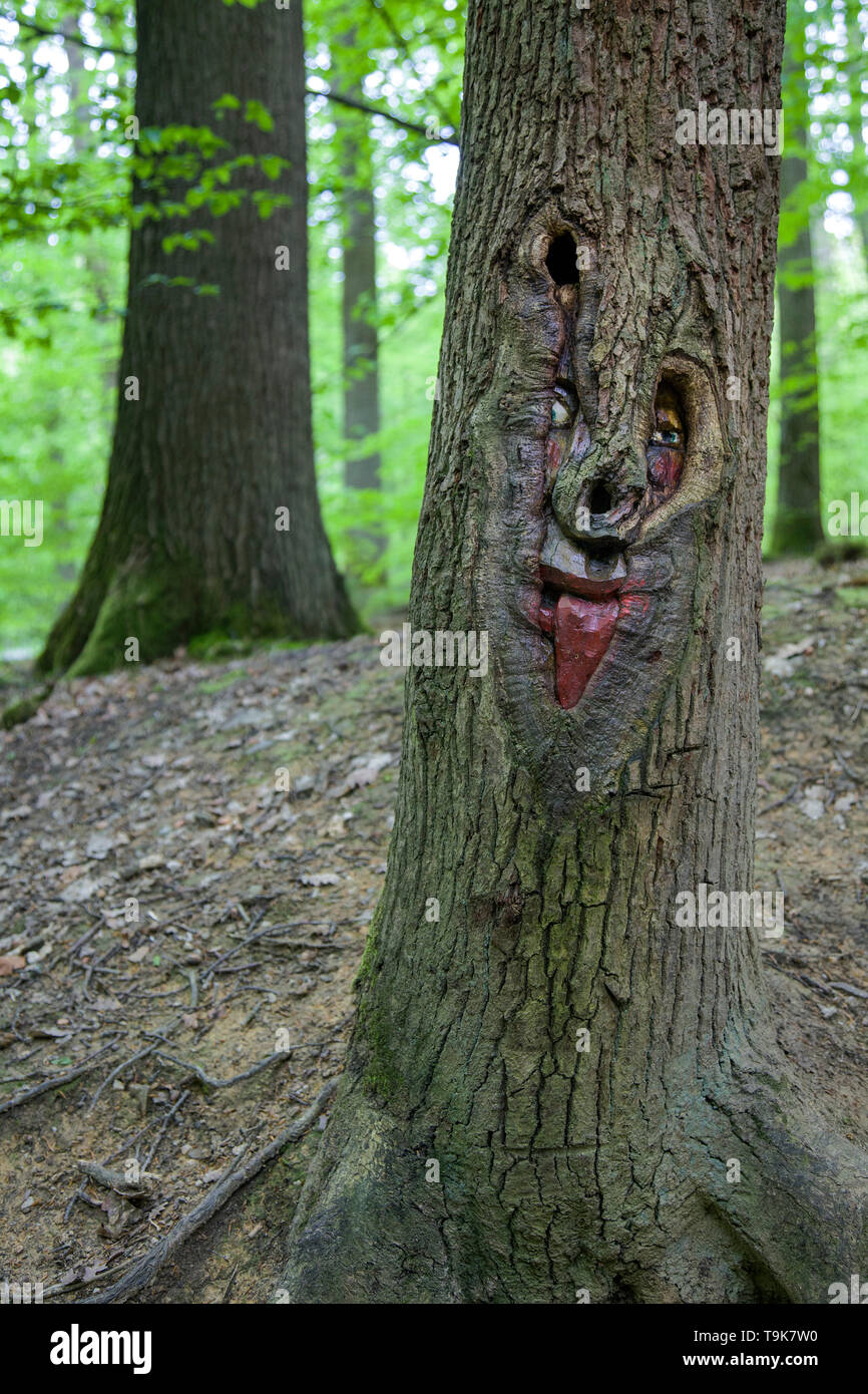 Volto scolpito in un tronco di albero, Steckeschlääfer-Klamm, Binger foresta, Bingen sul Reno, Renania-Palatinato, Germania Foto Stock