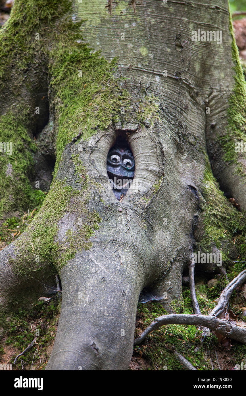 Volto scolpito in un tronco di albero, Steckeschlääfer-Klamm, Binger foresta, Bingen sul Reno, Renania-Palatinato, Germania Foto Stock