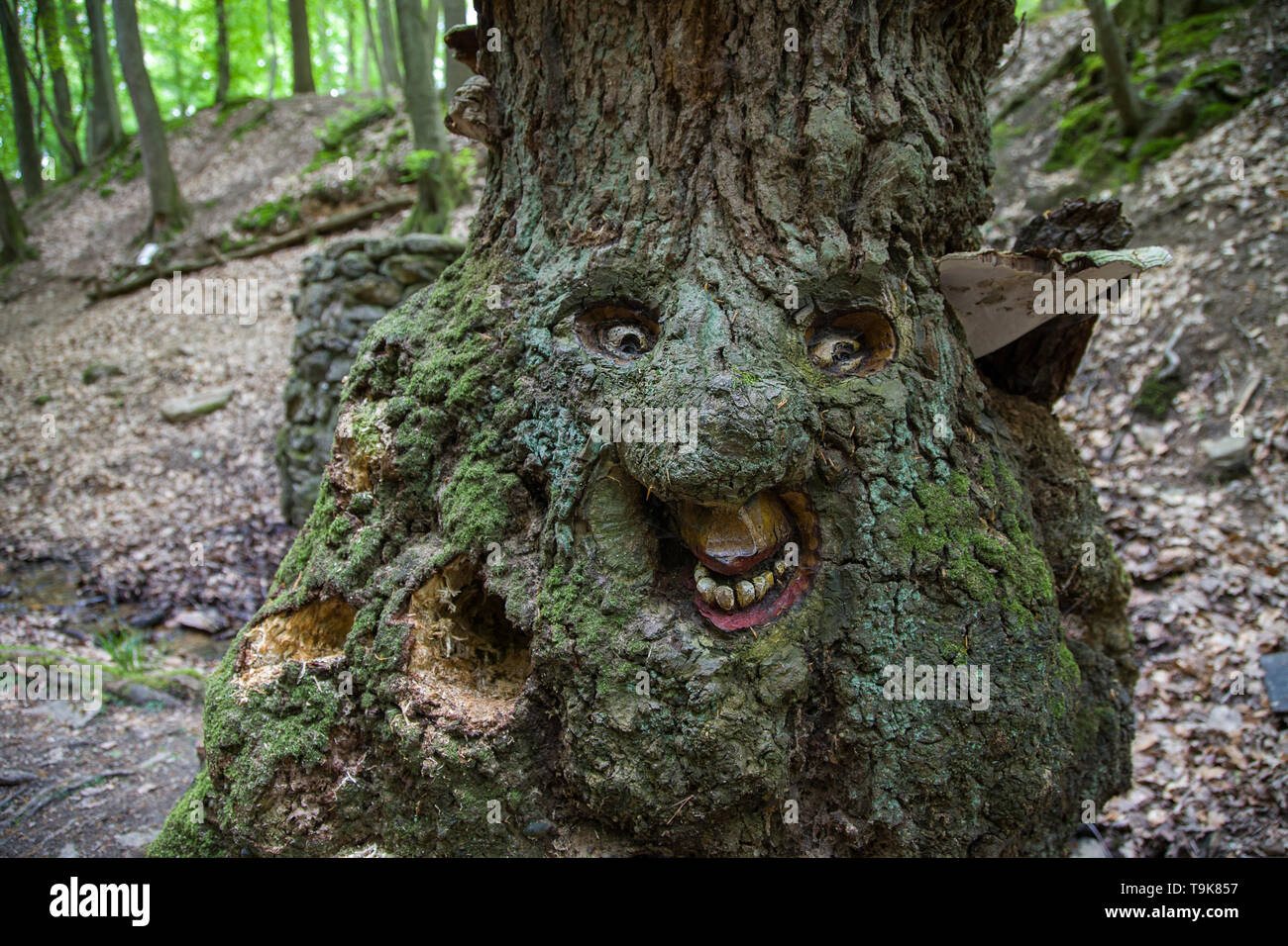 Volto scolpito in un tronco di albero, Steckeschlääfer-Klamm, Binger foresta, Bingen sul Reno, Renania-Palatinato, Germania Foto Stock