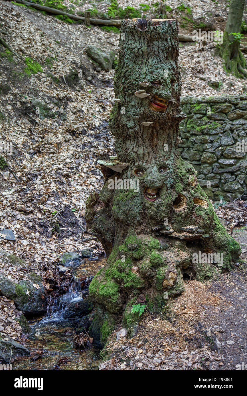 Facce scolpita in un ceppo di albero, Steckeschlääfer-Klamm, Binger foresta, Bingen sul Reno, Renania-Palatinato, Germania Foto Stock