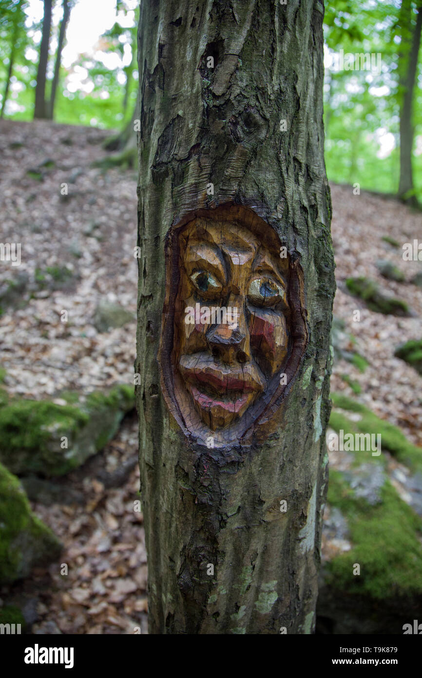 Volto scolpito in un tronco di albero, Steckeschlääfer-Klamm, Binger foresta, Bingen sul Reno, Renania-Palatinato, Germania Foto Stock