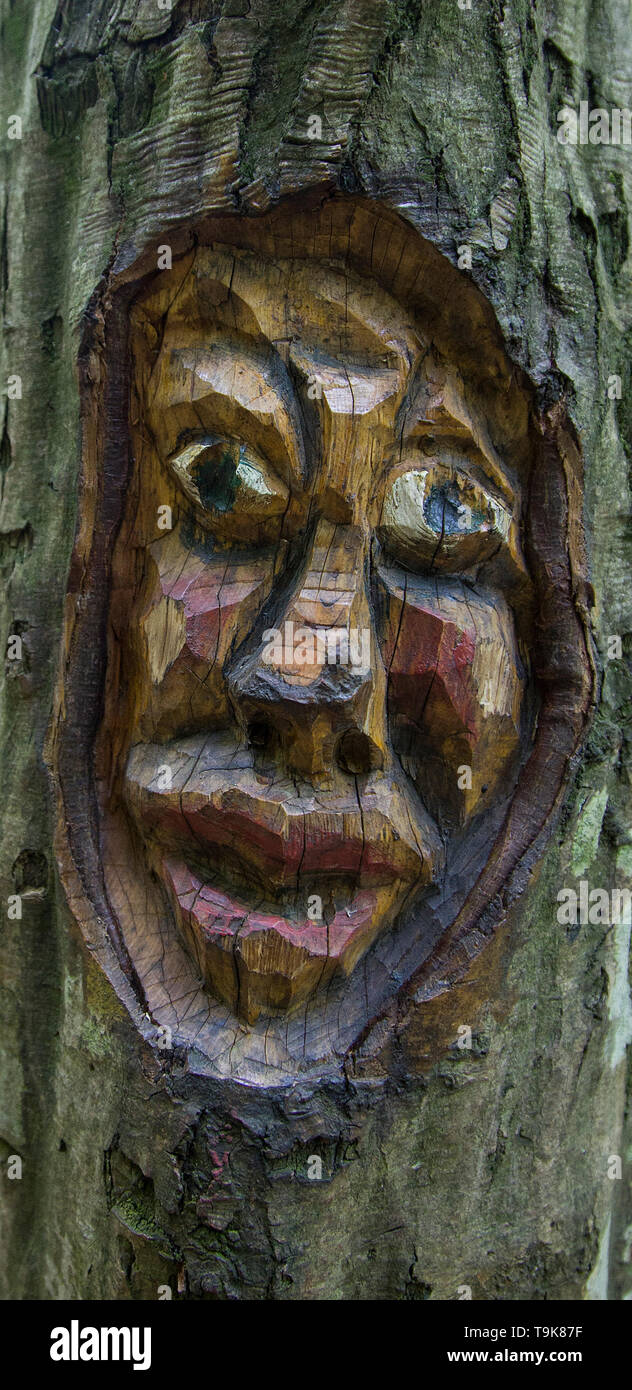 Volto scolpito in un tronco di albero, Steckeschlääfer-Klamm, Binger foresta, Bingen sul Reno, Renania-Palatinato, Germania Foto Stock