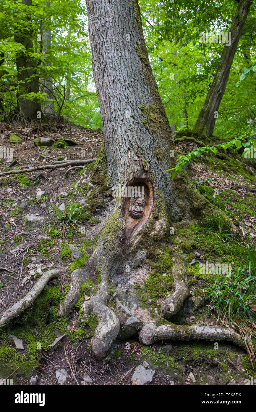 Volto scolpito in un tronco di albero, Steckeschlääfer-Klamm, Binger foresta, Bingen sul Reno, Renania-Palatinato, Germania Foto Stock
