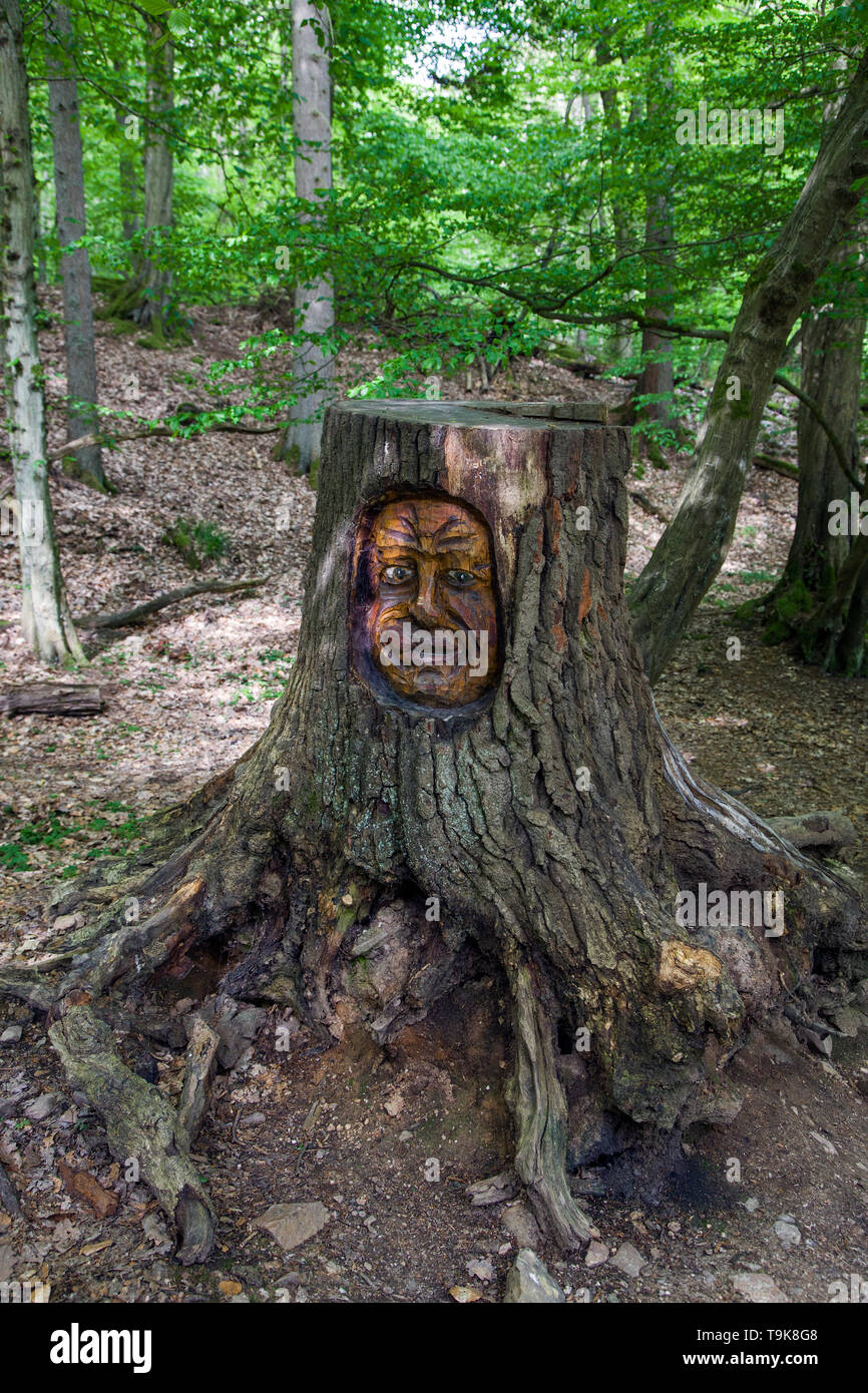Volto scolpito in un ceppo di albero, Steckeschlääfer-Klamm, Binger foresta, Bingen sul Reno, Renania-Palatinato, Germania Foto Stock
