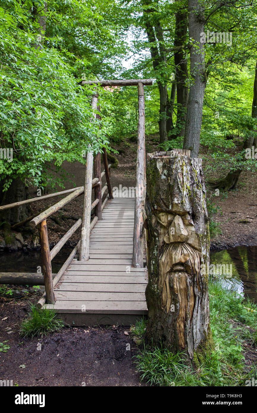 Volto scolpito in un ceppo di albero in corrispondenza di un ponte di legno, escursionista trail Steckeschlääfer-Klamm, Binger foresta, Bingen sul Reno, Renania-Palatinato, Germania Foto Stock