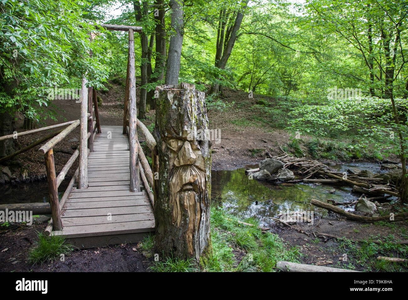 Volto scolpito in un ceppo di albero in corrispondenza di un ponte di legno, escursionista trail Steckeschlääfer-Klamm, Binger foresta, Bingen sul Reno, Renania-Palatinato, Germania Foto Stock