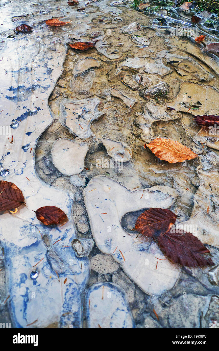 Congelati pozzanghera sulla strada forestale Foto Stock