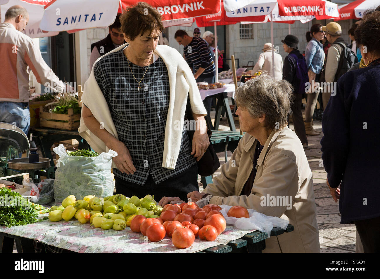 Due locali di fornitori sul mercato discutere di affari del giorno, Gundulićeva poljana, stari grad, Dubrovnik, Croazia Foto Stock