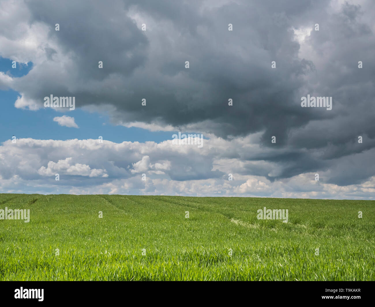 Cloudscape in aperta campagna del Appleby Fells in Cumbria Foto Stock