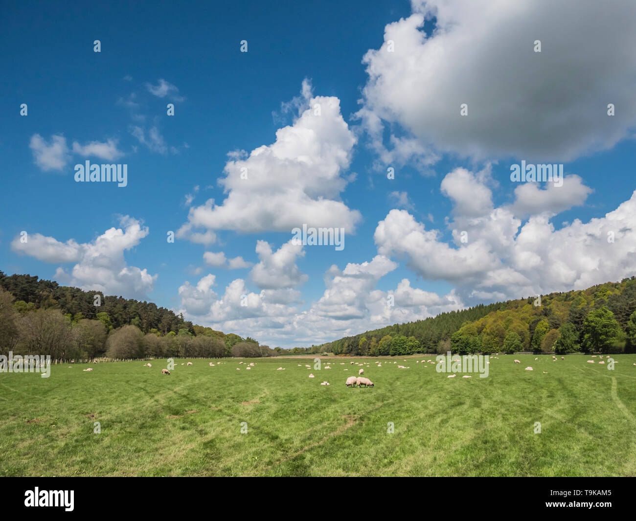 Cloudscape in aperta campagna del Appleby Fells in Cumbria Foto Stock