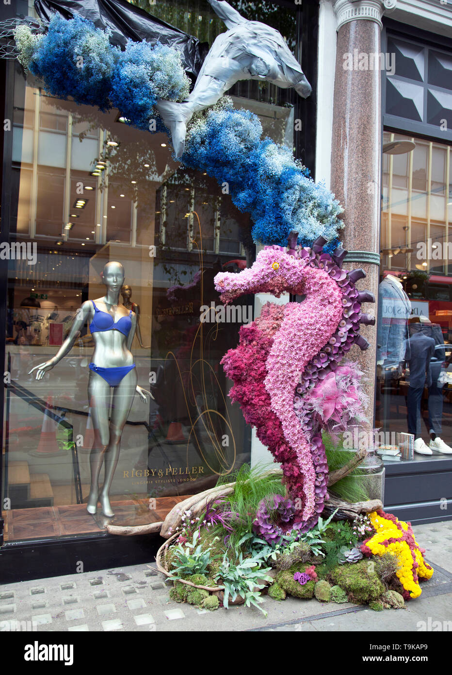 Chelsea le altre flower show - Rigby & Peller del display floreale in Kings Road, il Chelsea Foto Stock
