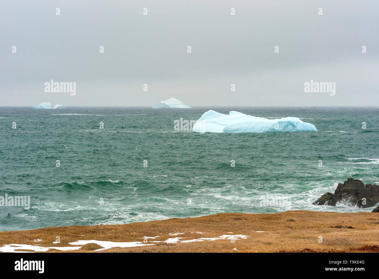 Tre ice bergs Foto Stock