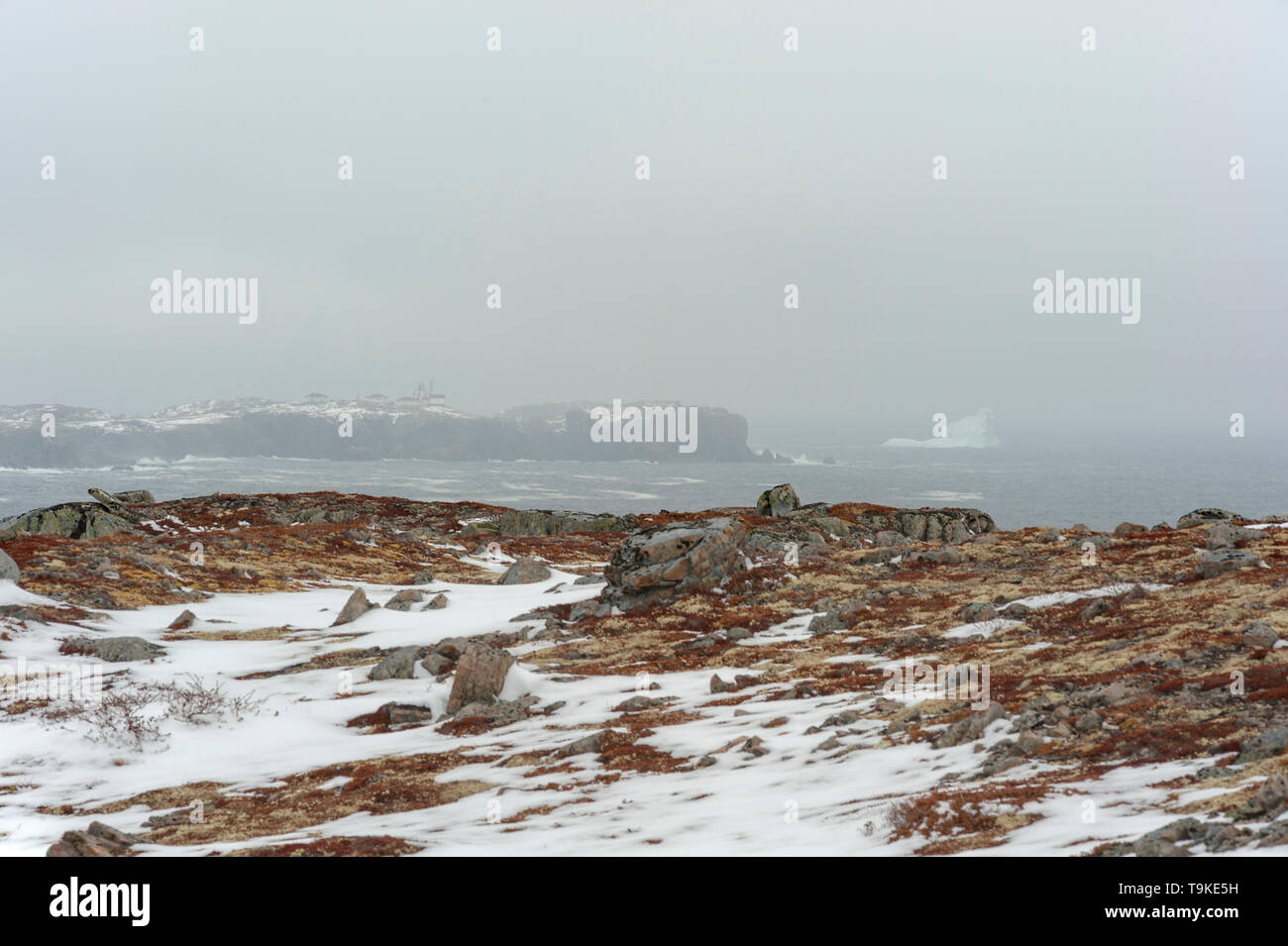 Ice berg e il faro nella nebbia Foto Stock