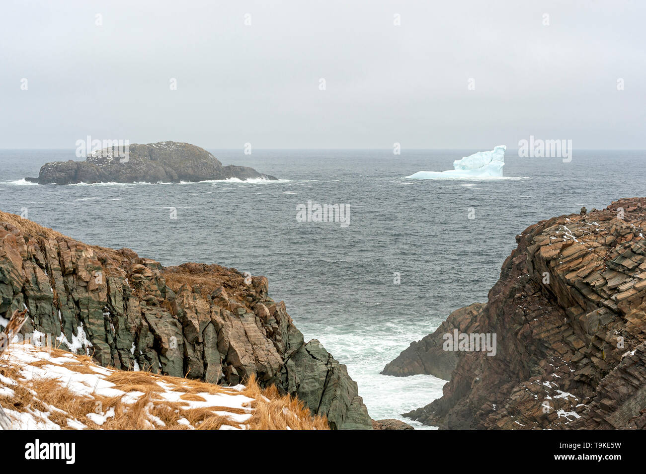 Un piccolo iceberg vicino a coste rocciose Foto Stock