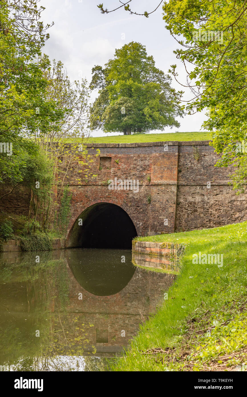 Portale nord della galleria Crick riflessa nella Grand Union Canal, Leicester filiale. Alberi di fianco alla bocca di tunnel e un albero maturo si erge sulla cima. Foto Stock