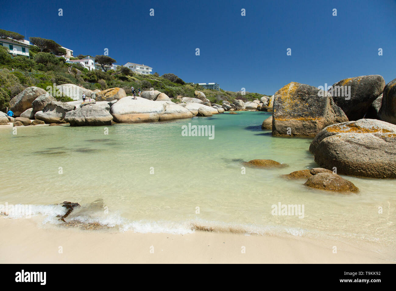 Boulders Beach a Cape Town, Sud Africa Foto Stock