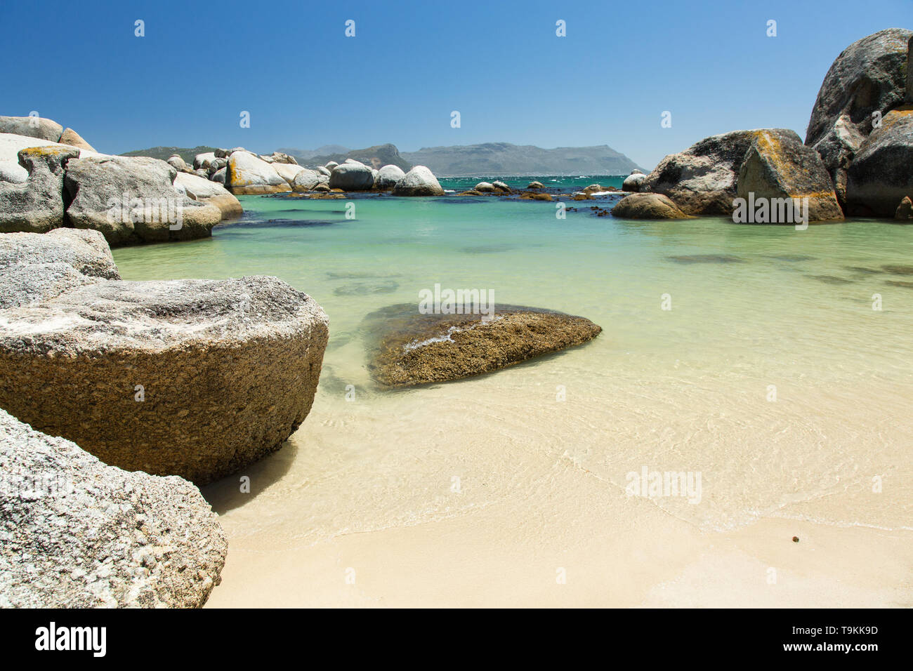 Boulders Beach a Cape Town, Sud Africa Foto Stock