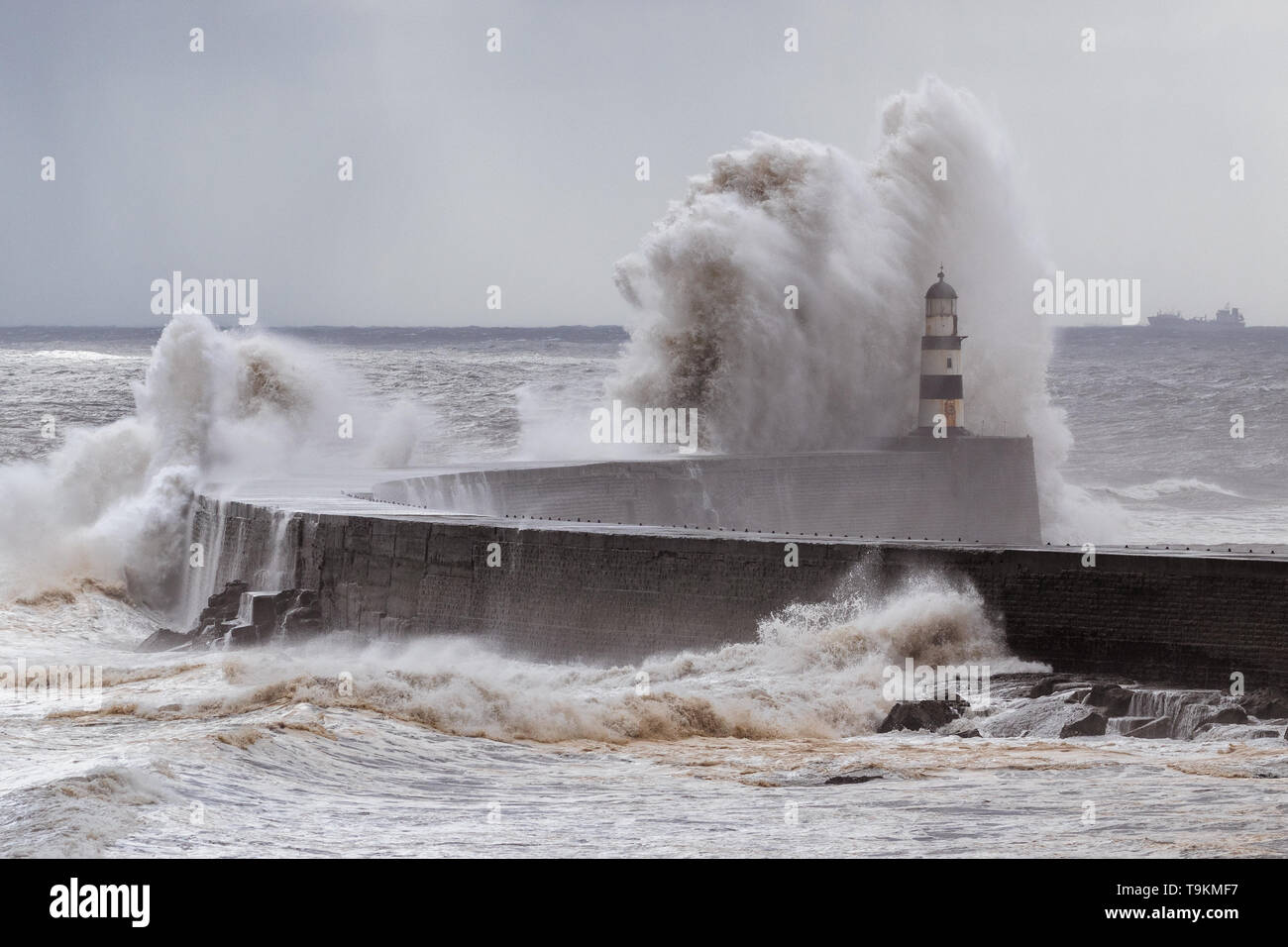 Può la tempesta, big wave, Seaham, Durham Foto Stock