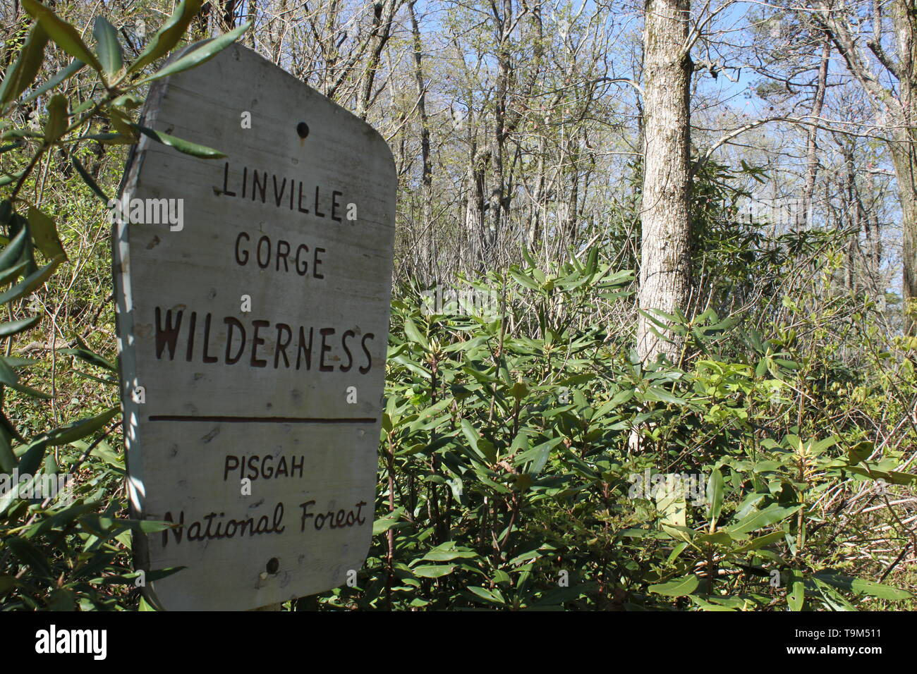 Benvenuto a Linville Gorge deserto, Pisgah National Forest, NC Foto Stock