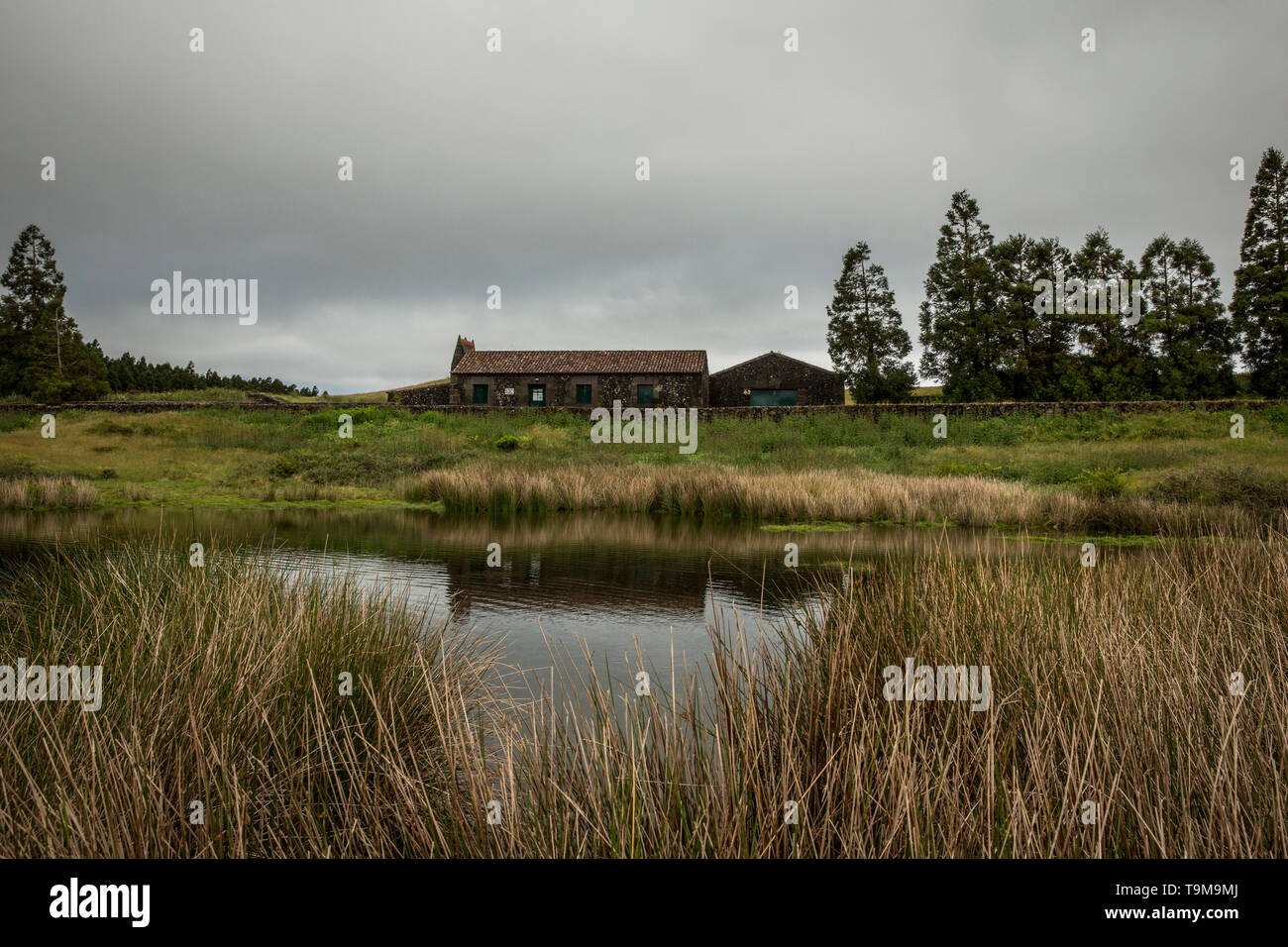 Gruta do Natal ingresso accanto a Lagoa do Negro. Terceira, Azzorre, Portogallo Foto Stock