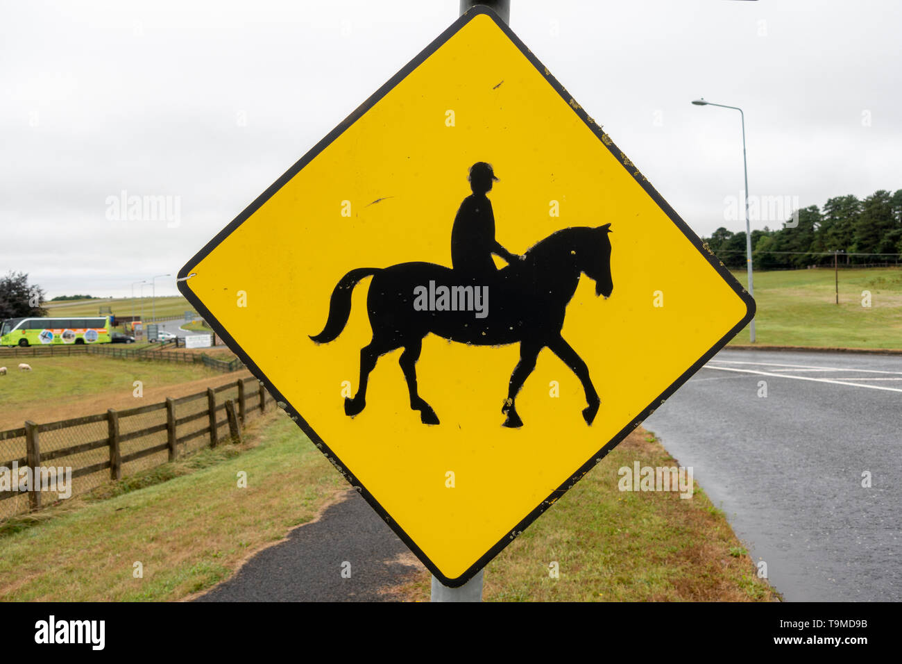 'Attenzione cavalli' lato strada segno vicino al Curragh Race Course, Curragh Racecourse, Newbridge, nella contea di Kildare, Irlanda Foto Stock