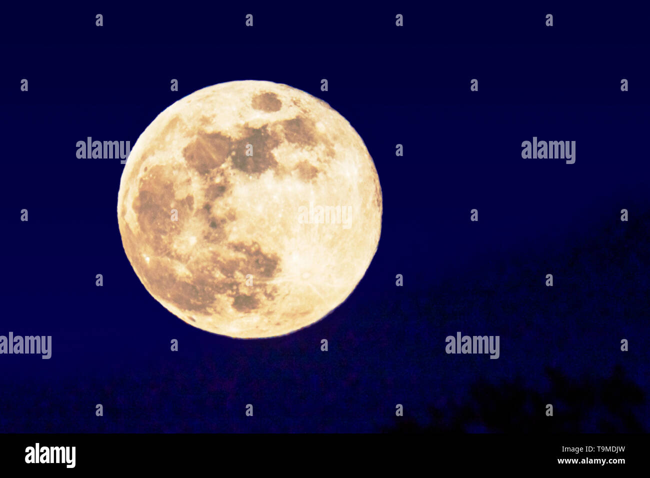 Pieno Fiore luna su montagne rocciose, Salida, Colorado, STATI UNITI D'AMERICA Foto Stock