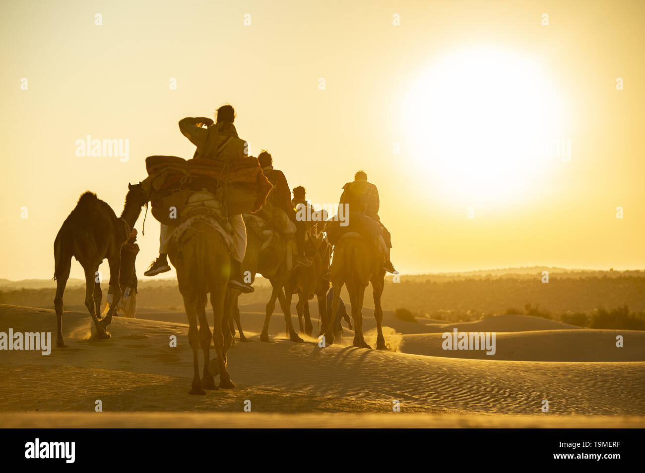 Splendida vista di alcuni turisti cavalcare cammelli sulle dune del deserto del Thar in Rajasthan durante un bellissimo tramonto. India. Foto Stock