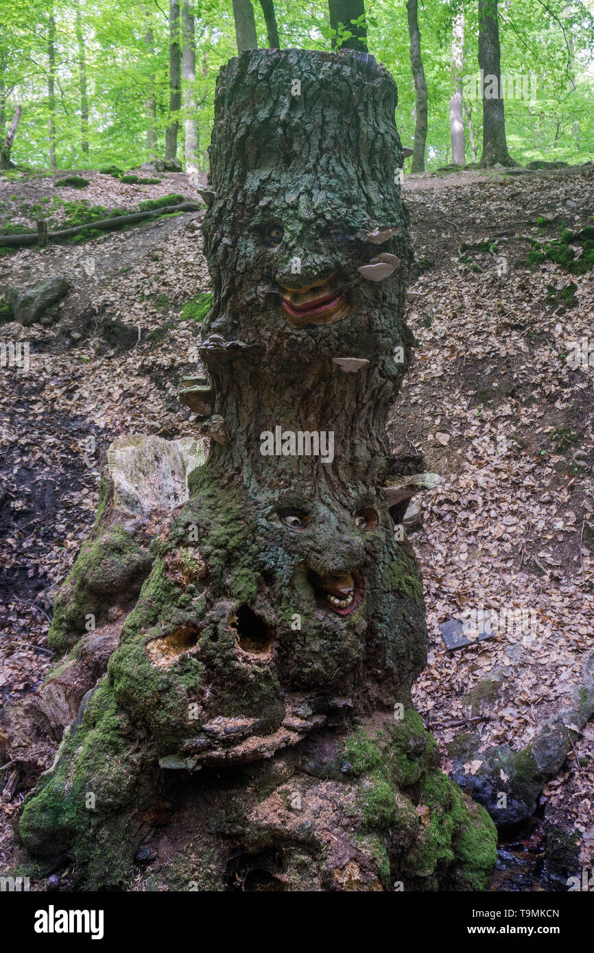 Facce scolpita in un ceppo di albero, Steckeschlääfer-Klamm, Binger foresta, Bingen sul Reno, Renania-Palatinato, Germania Foto Stock