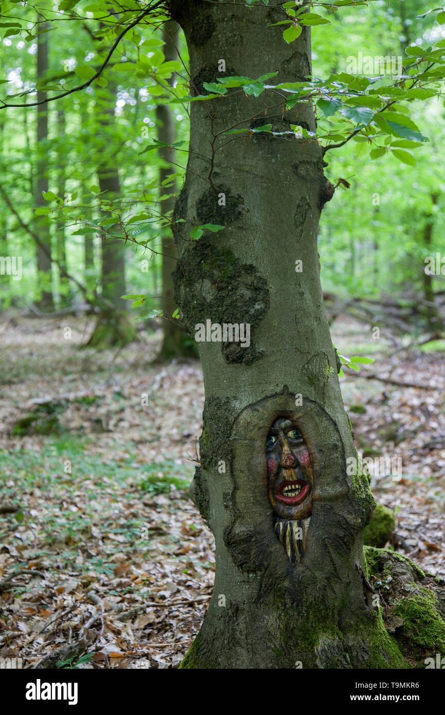 Volto scolpito in un tronco di albero, Steckeschlääfer-Klamm, Binger foresta, Bingen sul Reno, Renania-Palatinato, Germania Foto Stock