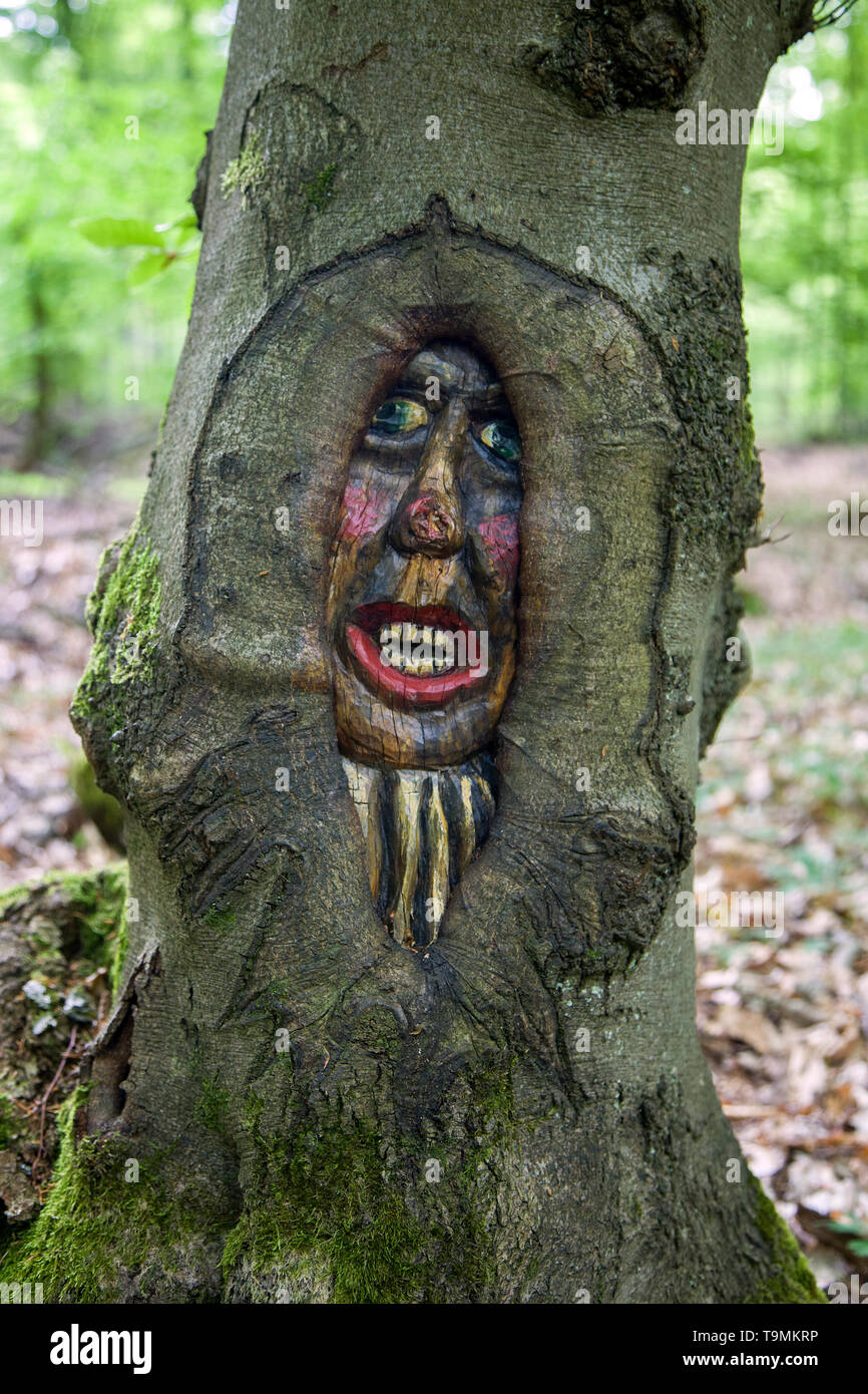Volto scolpito in un tronco di albero, Steckeschlääfer-Klamm, Binger foresta, Bingen sul Reno, Renania-Palatinato, Germania Foto Stock