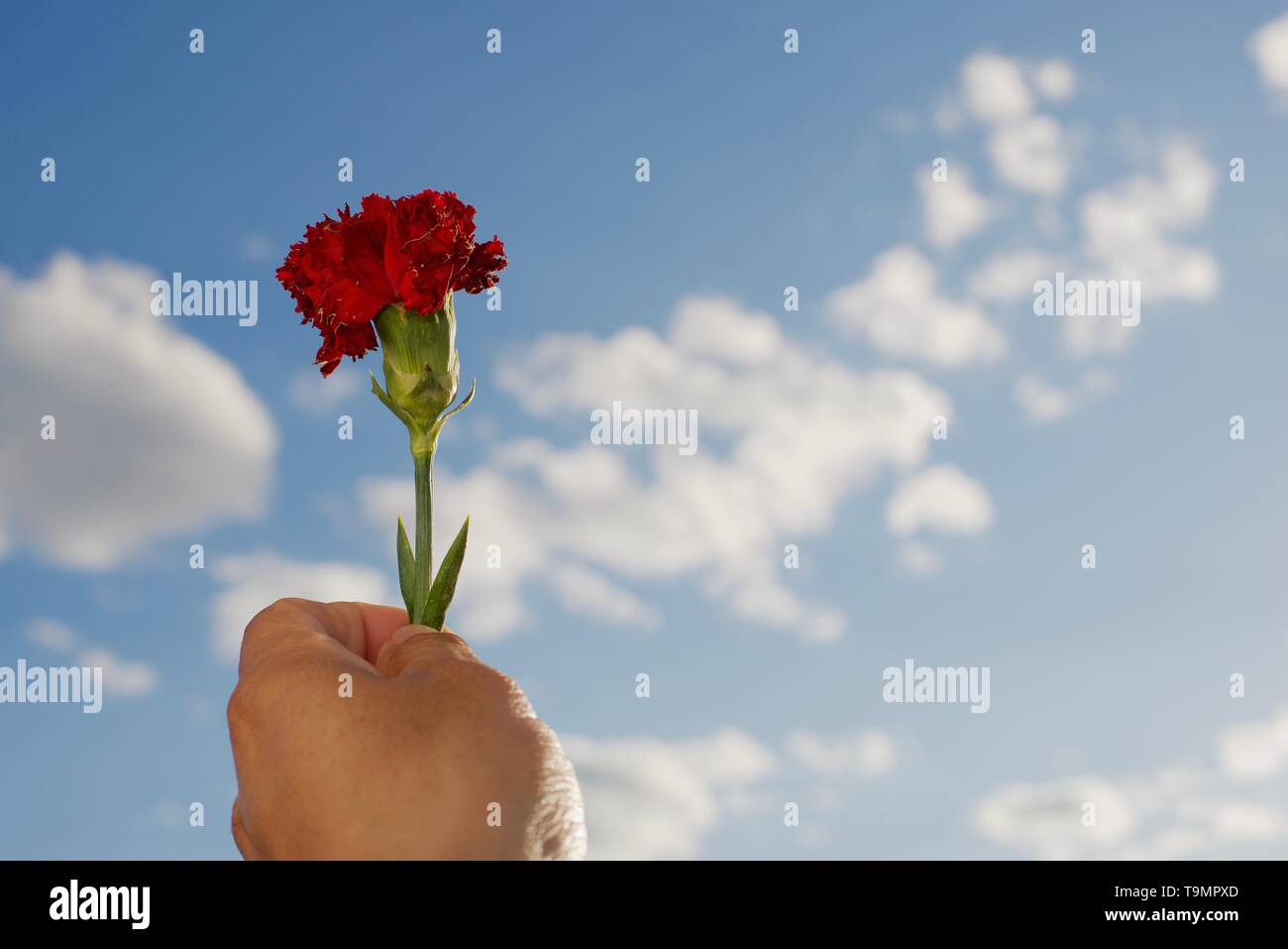 Mis pensamientos hacia ti/ i miei pensieri verso di voi. Foto Stock