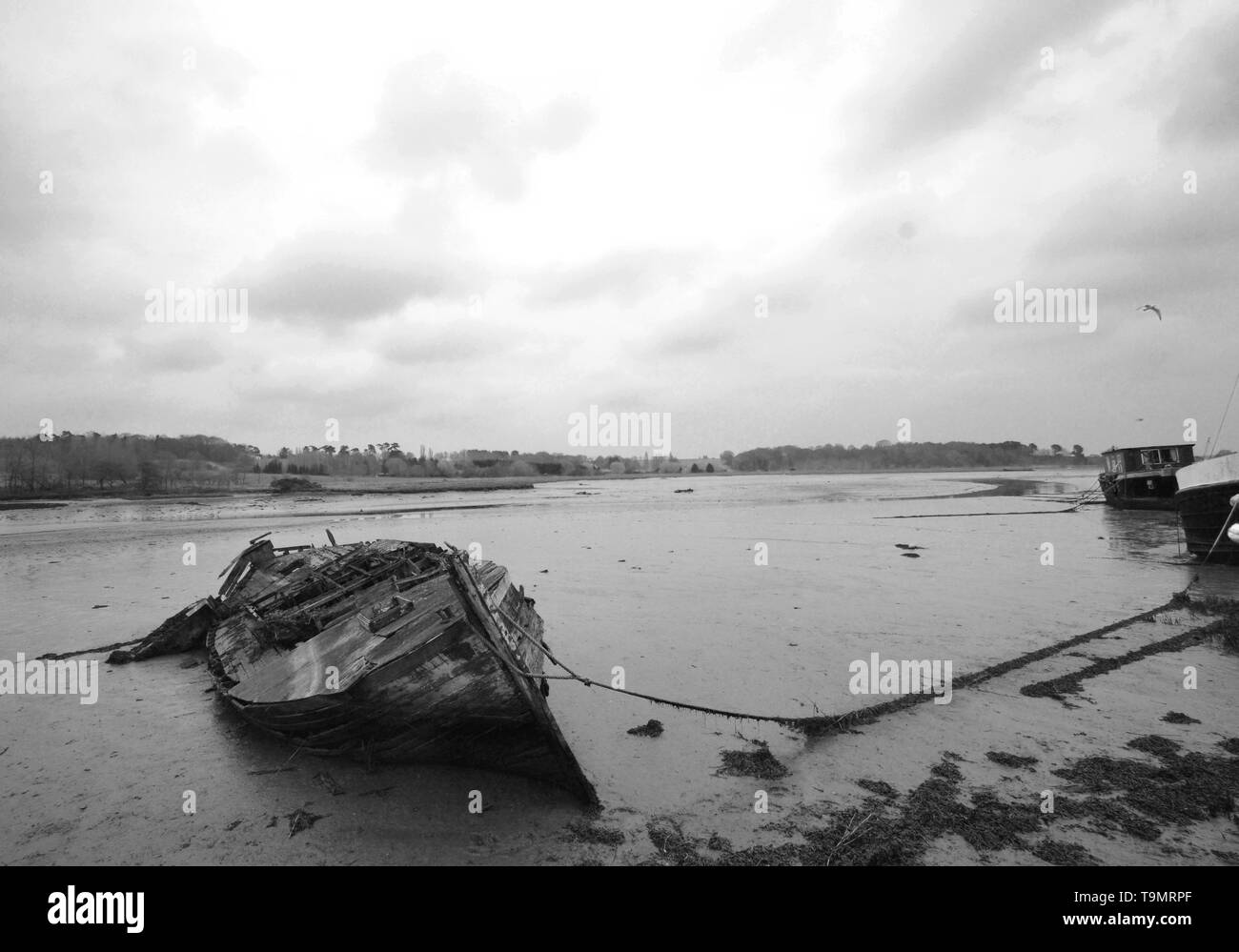 Fotografia in bianco e nero di un naufragio sul fiume Deben, Woodbridge, Suffolk, Regno Unito Foto Stock