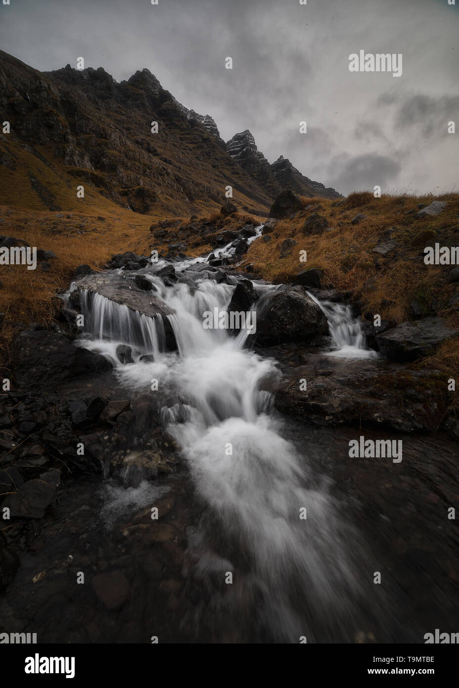 Cascata islandese, nordic cascata in oriente fiordi, Islanda Foto Stock