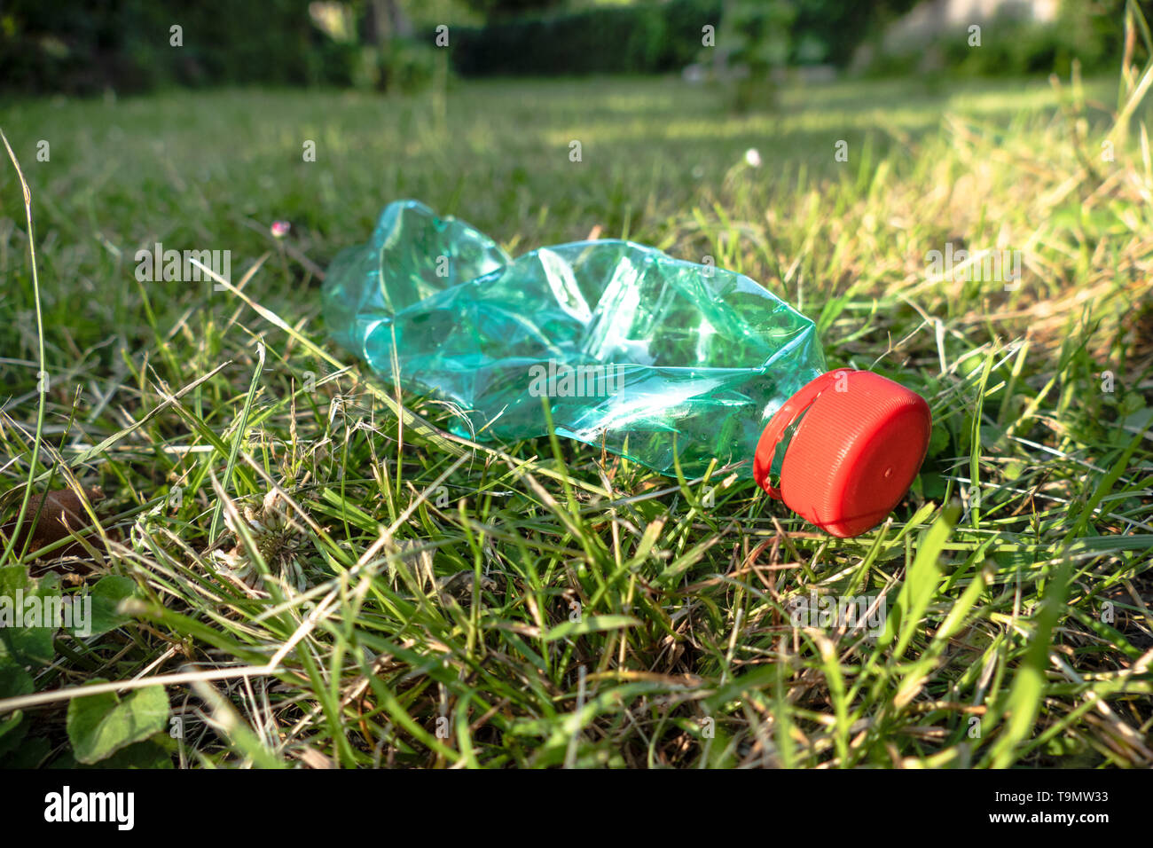 Crumpled bottiglia di plastica sull'erba, inquinamento di plastica Foto Stock