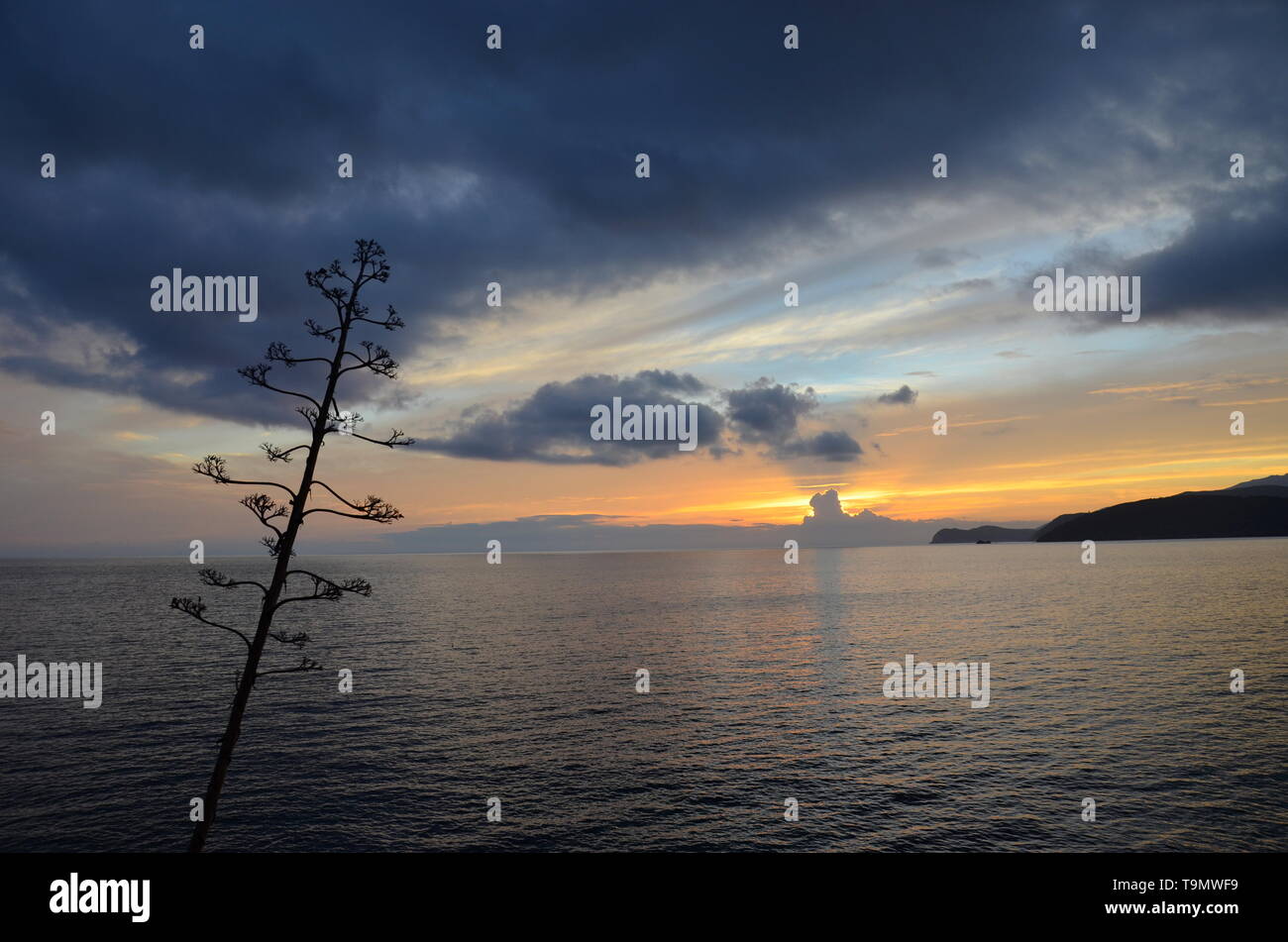 Colorato tramonto sull'isola d'Elba, Italia Foto Stock