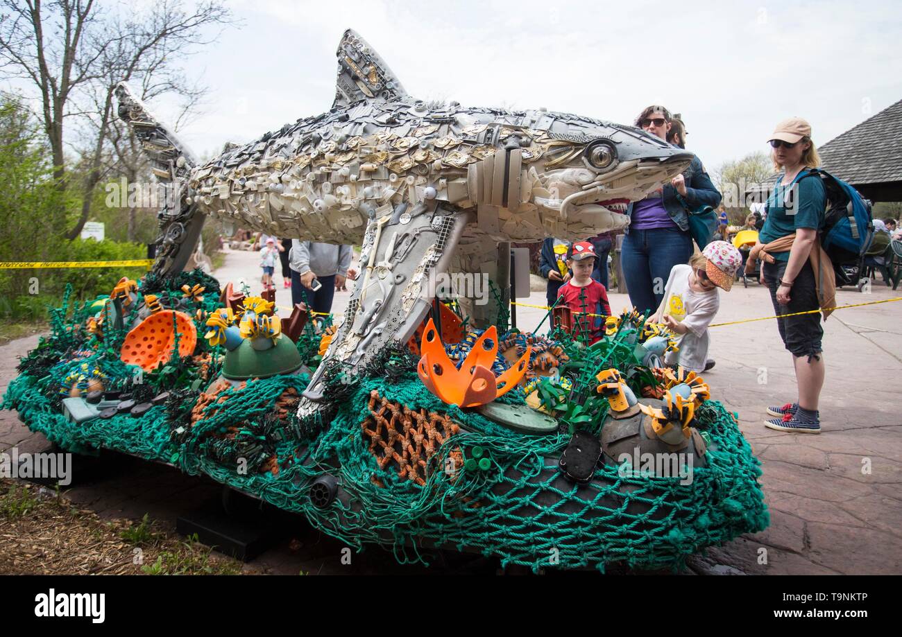 Toronto, Canada. 19 Maggio, 2019. La gente guarda l'arte di installazione "squalo ilvertip' durante la mostra 'si è incagliata: Arte per salvare il mare" al Toronto Zoo di Toronto, Canada, 19 maggio 2019. Ha dato dei calci a fuori durante il fine settimana, i sei mesi di durata mostra unica mirava ad avviso del negativo e devastanti effetti di inquinamento in plastica, innescando cambiamenti positivi nelle abitudini dei consumatori. Tutte le installazioni di arte sono state costruite completamente con materiale plastico raccolto da oceani e le vie navigabili in tutto il mondo. Credito: Zou Zheng/Xinhua/Alamy Live News Foto Stock