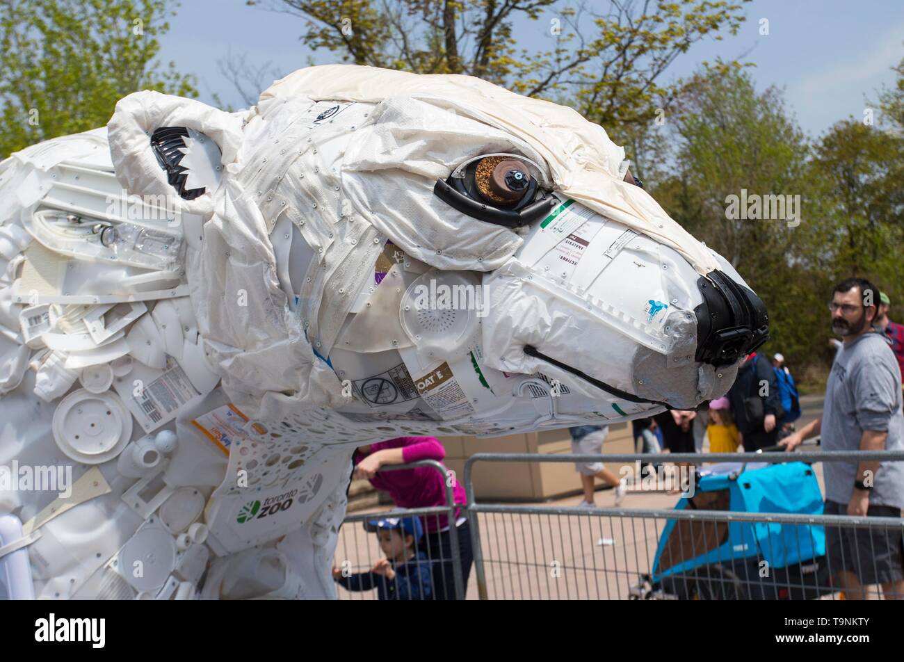 Toronto, Canada. 19 Maggio, 2019. La gente guarda l'arte di installazione "Poly l'orso polare' durante la mostra 'si è incagliata: Arte per salvare il mare" al Toronto Zoo di Toronto, Canada, 19 maggio 2019. Ha dato dei calci a fuori durante il fine settimana, i sei mesi di durata mostra unica mirava ad avviso del negativo e devastanti effetti di inquinamento in plastica, innescando cambiamenti positivi nelle abitudini dei consumatori. Tutte le installazioni di arte sono state costruite completamente con materiale plastico raccolto da oceani e le vie navigabili in tutto il mondo. Credito: Zou Zheng/Xinhua/Alamy Live News Foto Stock