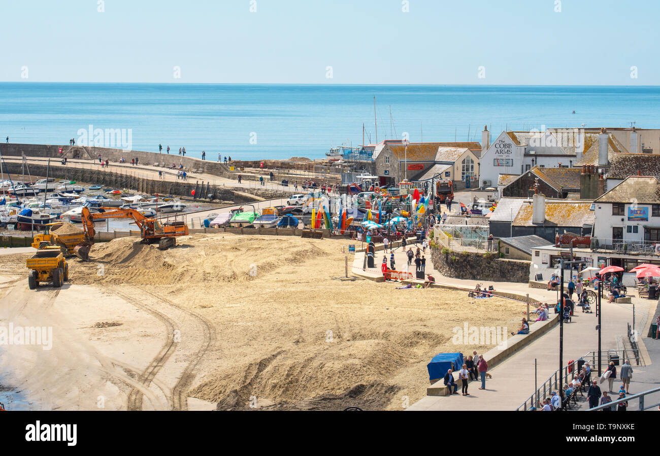 Lyme Regis, Dorset, Regno Unito. Il 20 maggio 2019. Regno Unito Meteo: una bella giornata calda e soleggiata a Lyme Regis. Impianto di pesanti veicoli ha colpito la popolare spiaggia a Lyme Regis a sabbia replinish perso durante i mesi invernali davanti alla banca e per le vacanze di metà semestre vacanze. La sabbia è sostituito sulla famosa spiaggia prima dell'alta stagione prende il via ogni anno in modo che i visitatori possano continuare a godere la bella spiaggia per tutta l'estate stagione turistica. Credito: Celia McMahon/Alamy Live News. Foto Stock