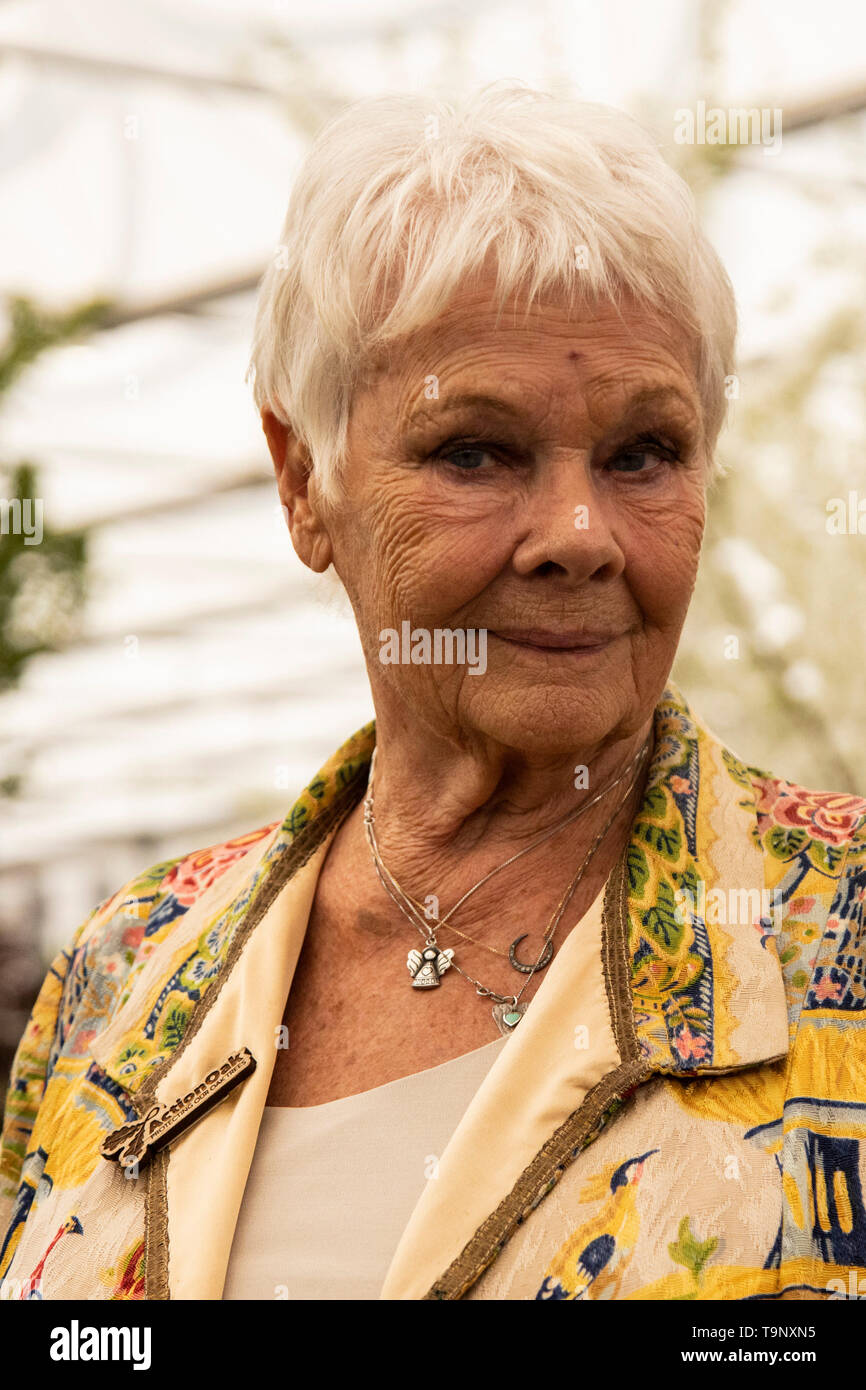Londra, Regno Unito. Il 20 maggio 2019. Dame Judi Dench. Premere il tasto giorno al 2019 RHS Chelsea Flower Show. Foto: Bettina Strenske/Alamy Live News Foto Stock