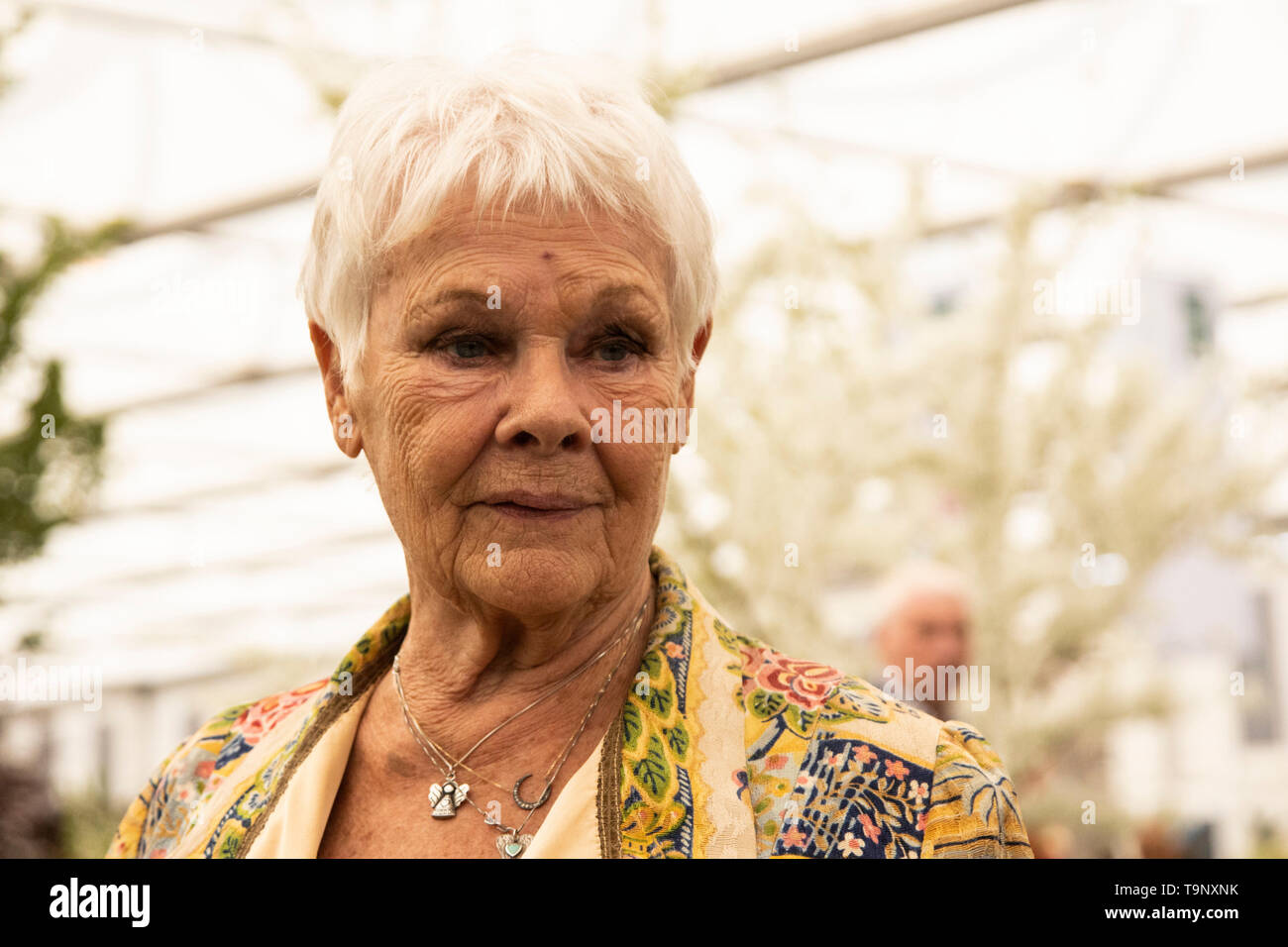 Londra, Regno Unito. Il 20 maggio 2019. Dame Judi Dench. Premere il tasto giorno al 2019 RHS Chelsea Flower Show. Foto: Bettina Strenske/Alamy Live News Foto Stock