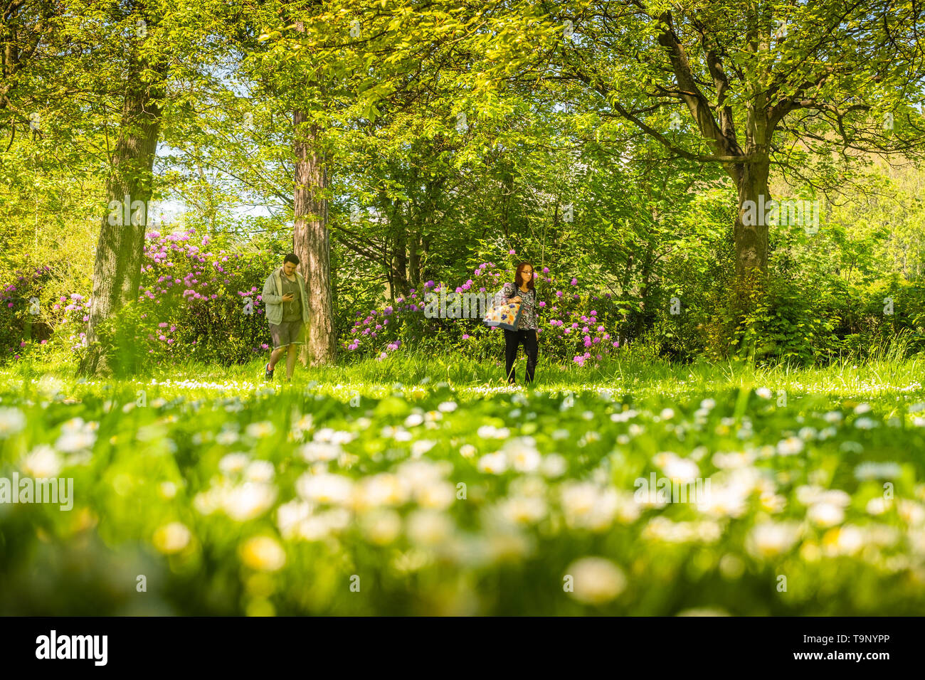 Aberystwyth Wales UK, lunedì 20 maggio 2019 UK Meteo: per coloro che godono di un'ora di pranzo a piedi lungo il viale alberato di Park Avenue nel caldo pomeriggio di sole in Aberystwyth Wales Photo credit: Keith Morris / Alamy Live News Foto Stock