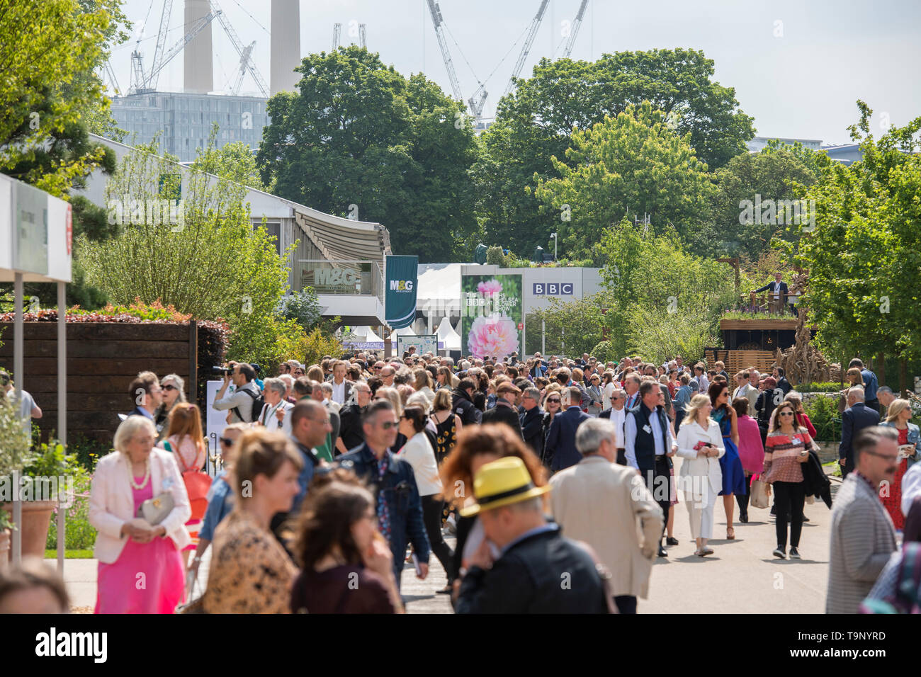 Royal Hospital Chelsea, Londra, Regno Unito. Il 20 maggio 2019. Il sole splende sul folle a Chelsea Flower Show 2019 premere giorno. Credito: Malcolm Park/Alamy Live News. Foto Stock