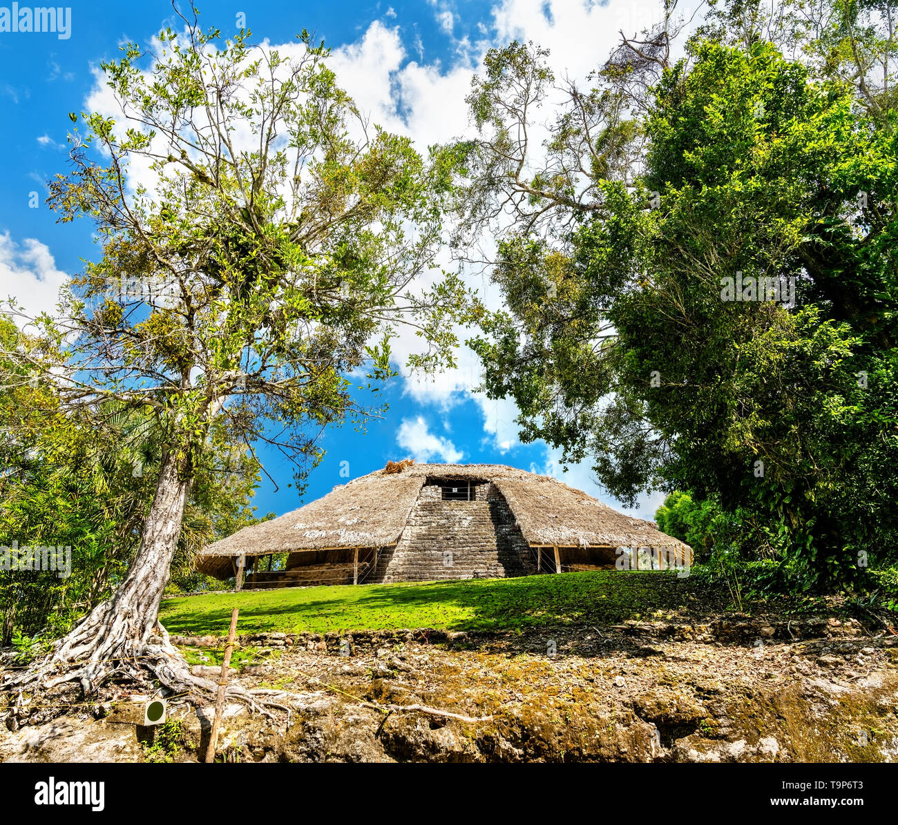 Rovine Maya a Kohunlich in Messico Foto Stock