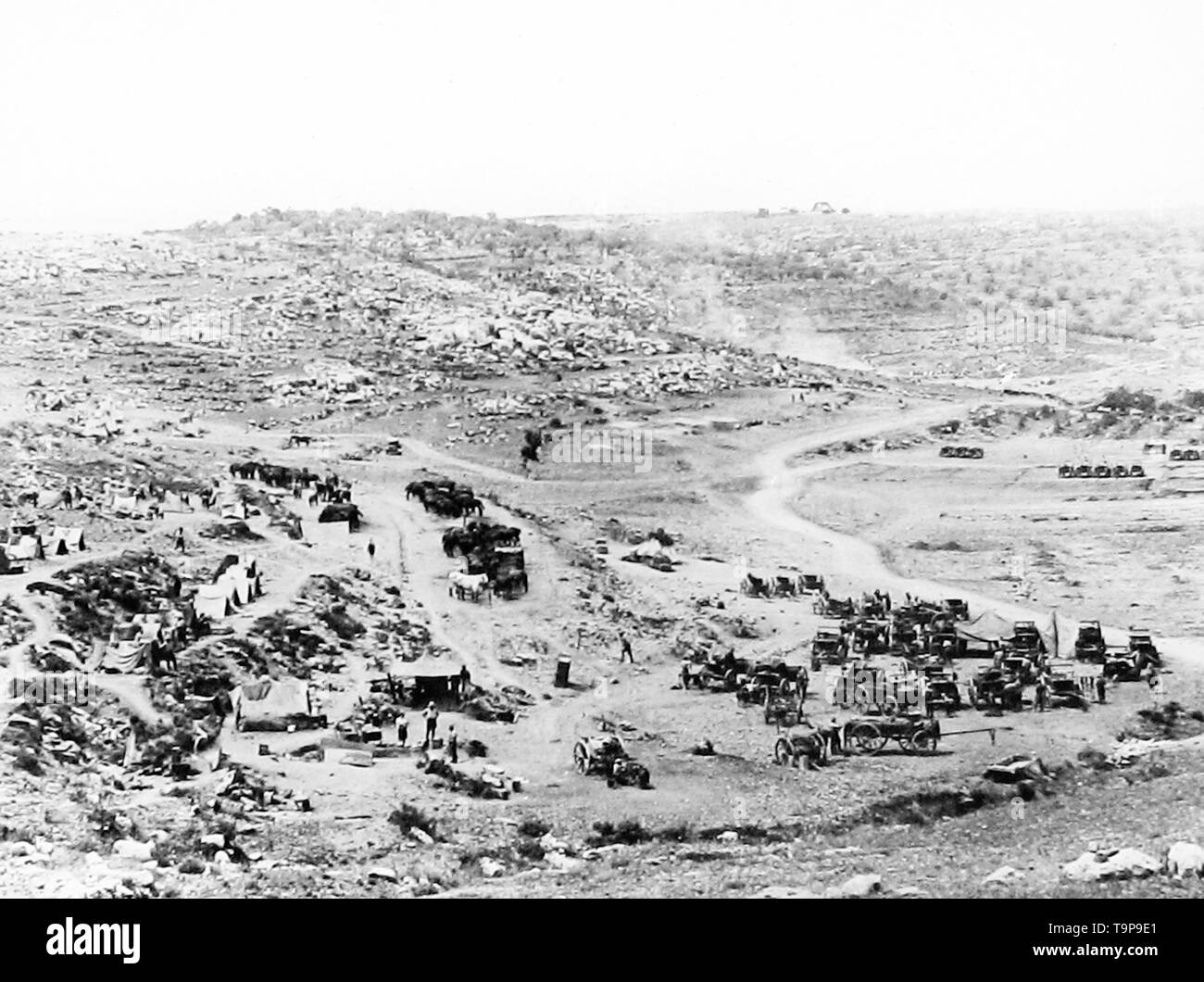 Cavallo Divisonal confezione di trasporto nella Judean Hills Foto Stock