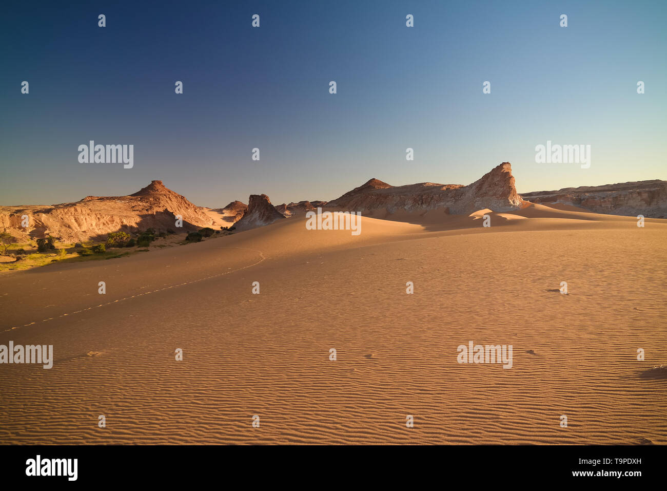 Antenna paesaggio panoramico vicino lago Boukkou gruppo di Ounianga Serir laghi a sunrise , Ennedi, Ciad Foto Stock