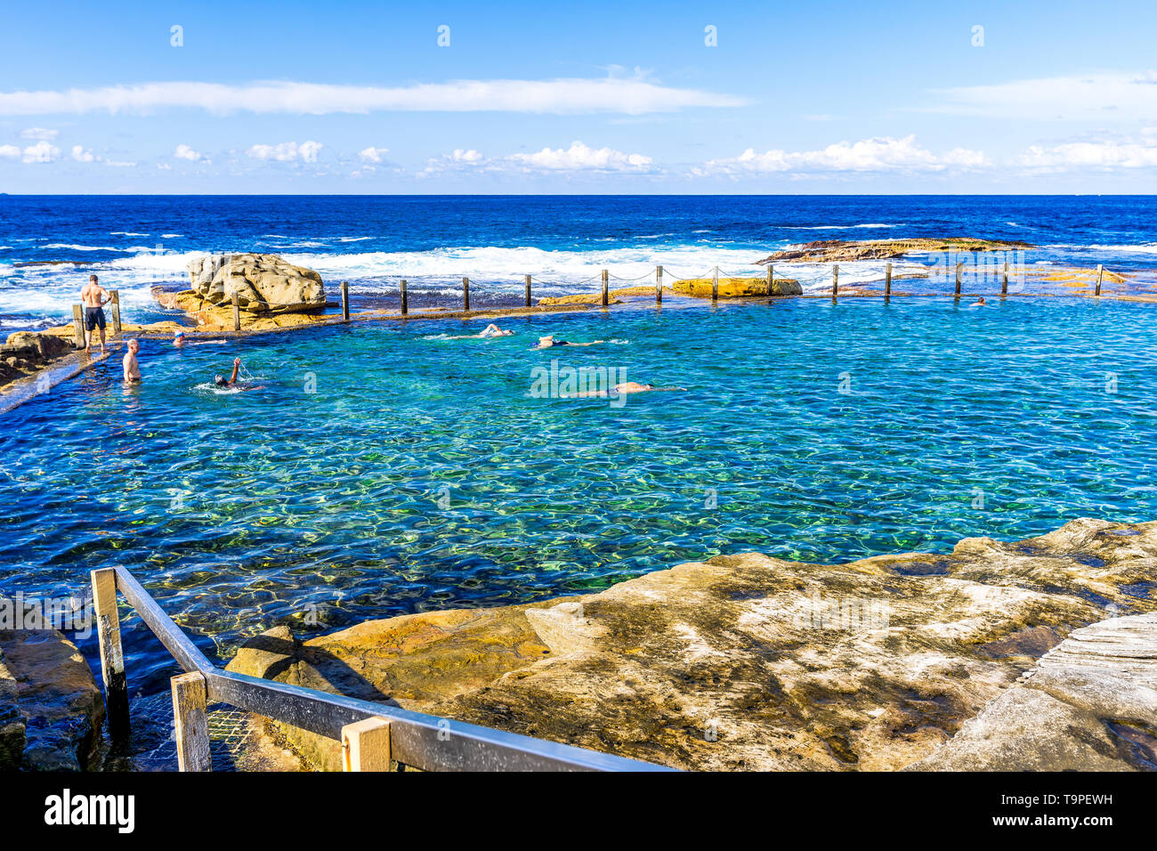 Nuoto nella piscina di roccia, a nord di Maroubra Beach a Sydney in Australia Foto Stock