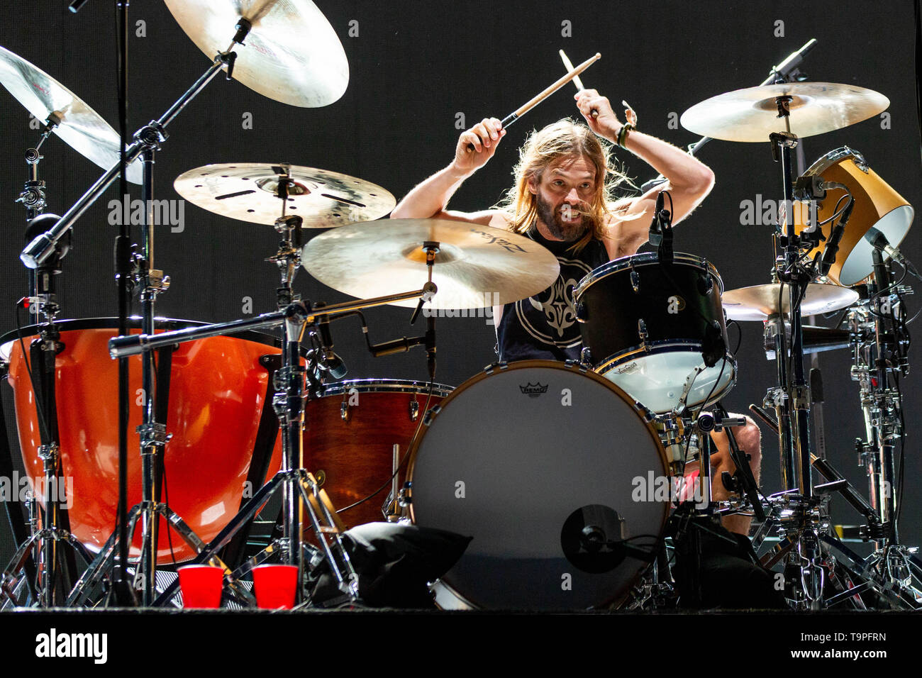 19 maggio 2019 - Columbus, Ohio, Stati Uniti - TAYLOR HAWKINS dei Foo Fighters durante il tempio Sonic Music Festival presso il MAPFRE Stadium di Columbus, Ohio (credito Immagine: © Daniel DeSlover/ZUMA filo) Foto Stock