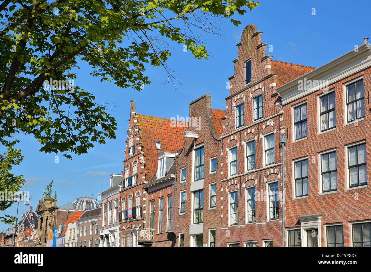 Tradizionale e facciate colorate situato lungo il fiume Spaarne, con il Teylers Museum sulla sinistra, Haarlem, Paesi Bassi Foto Stock