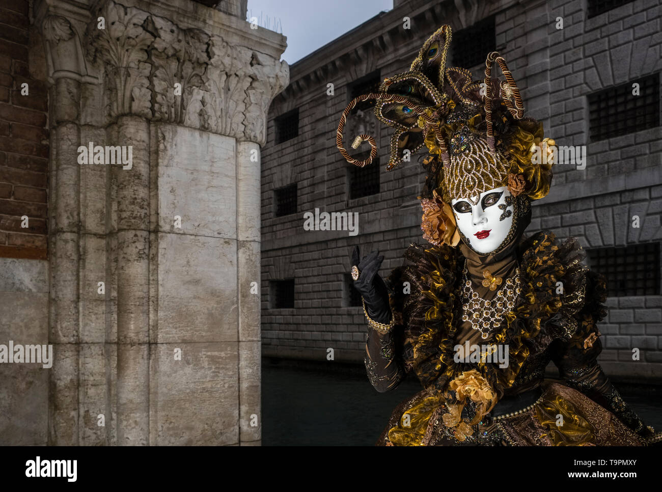Ritratto di un feminin persona mascherata in un bellissimo costume di creative, ponendo sotto i portici di Palazzo Ducale, Palazzo Ducale Foto Stock